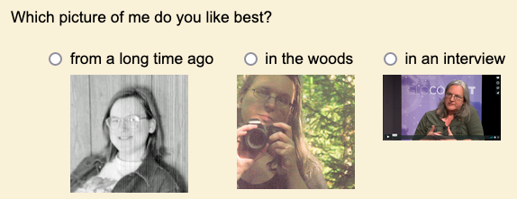 New choice images in survey